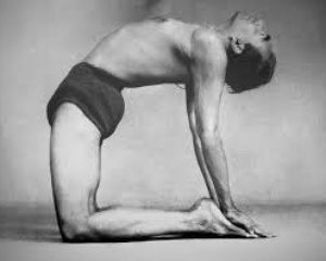 Yogasanas: A Procura do Infinito no Corpo Finito (parte 2/3)