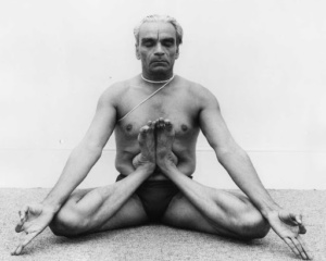 Yoga – um tranquilizante natural (Parte 1) 